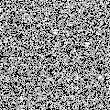 Root